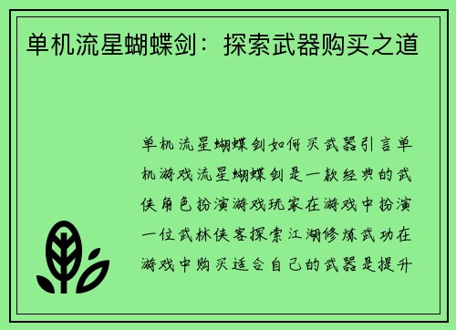 单机流星蝴蝶剑：探索武器购买之道
